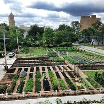 A photo of a large garden on a farm.