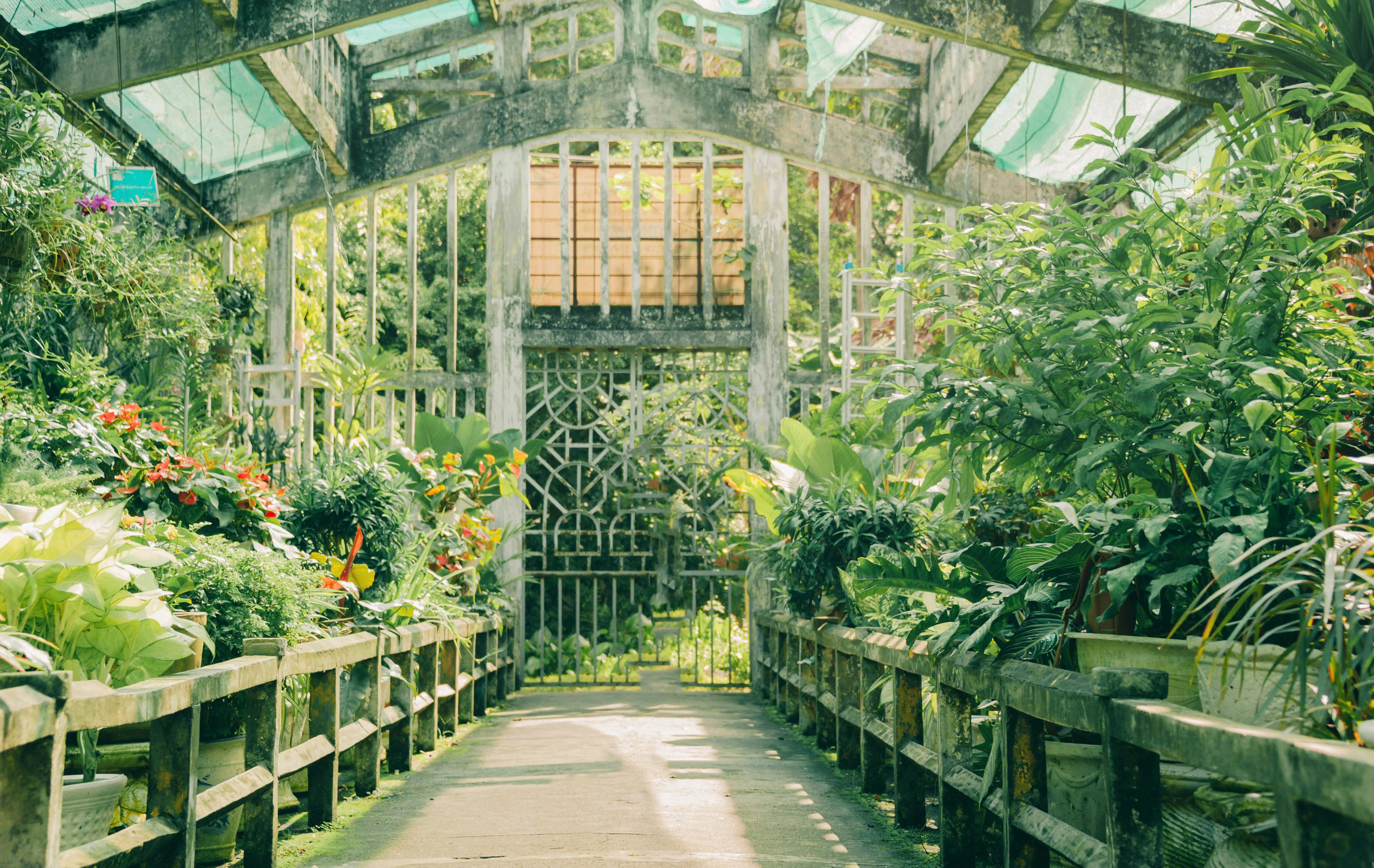 A greenhouse