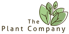The Plant Company logo with 3 leaves